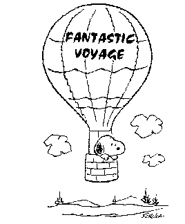 snoopy's voyage